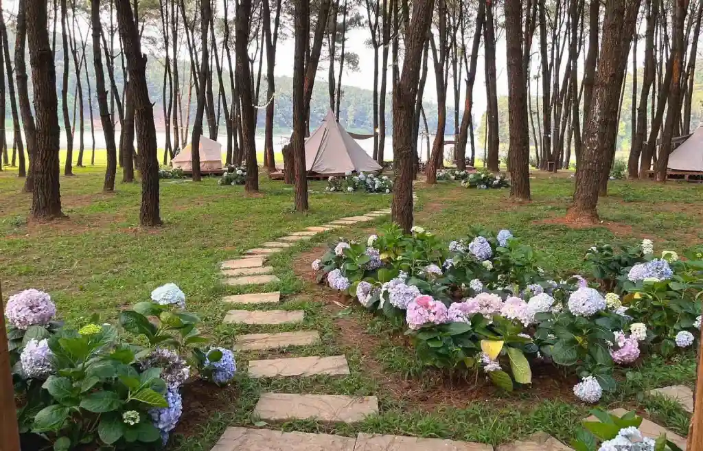 Vẻ đẹp khu camping của sân Tràng An đẹp mộng mơ như Đà Lạt