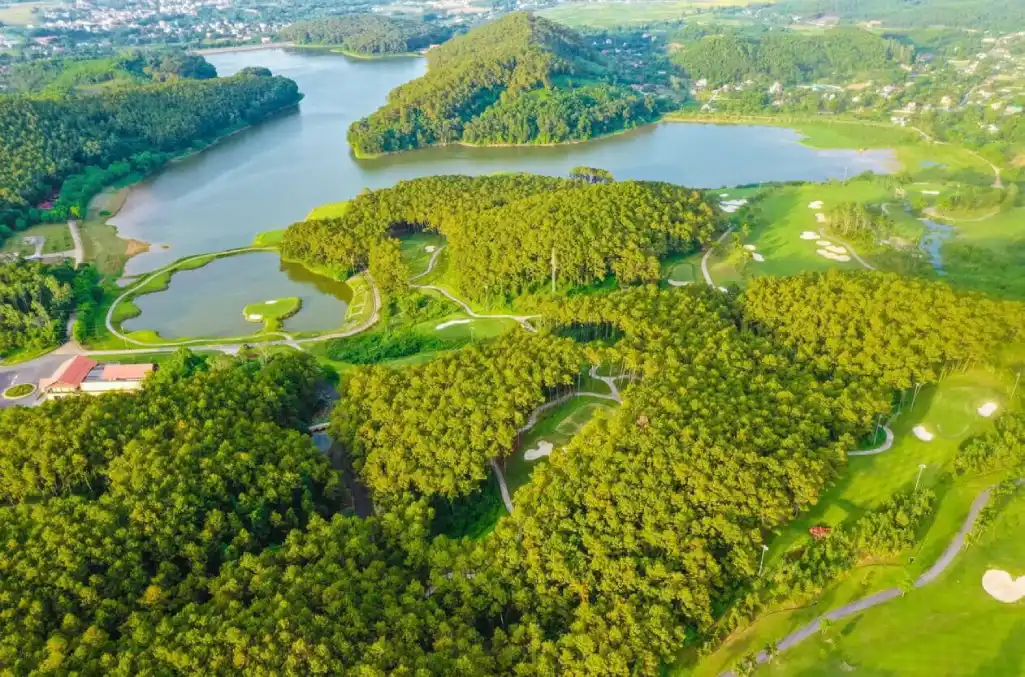 Hơn 2.000 cây thông xanh mát tại sân golf Tràng An