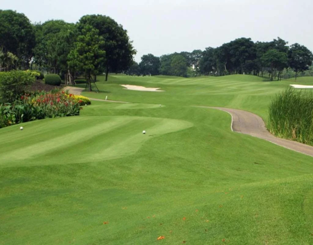 Thiết kế sân cùng những đường fairway uyển chuyển