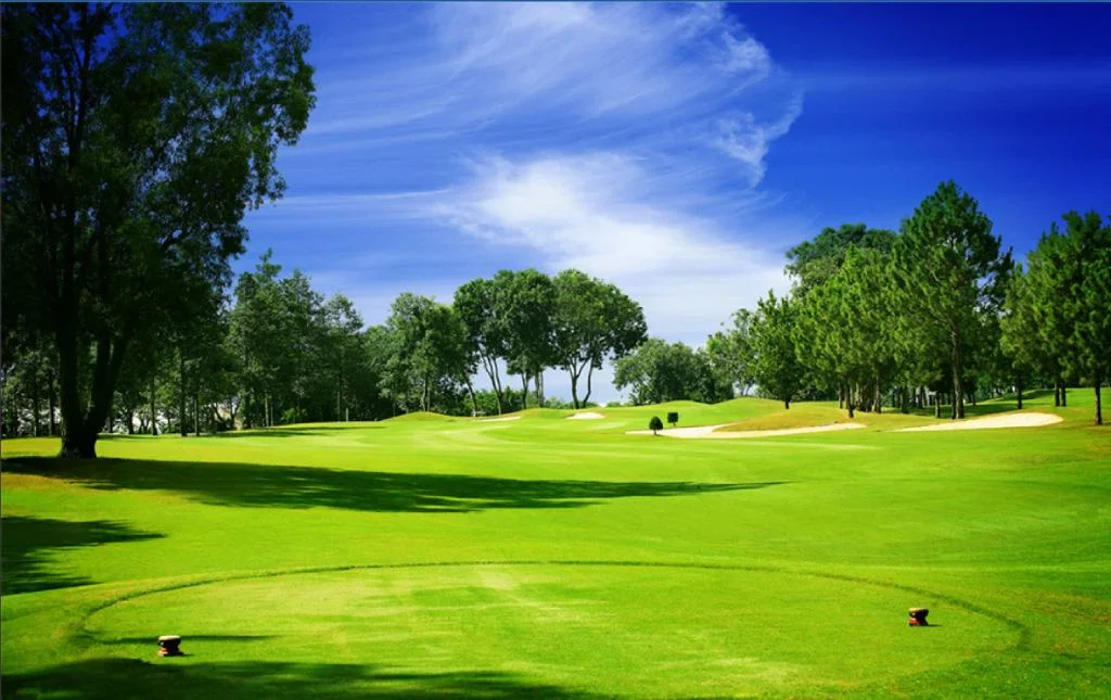 Vẻ đẹp thiên nhiên tươi đẹp tại sân tập golf Thủ Đức