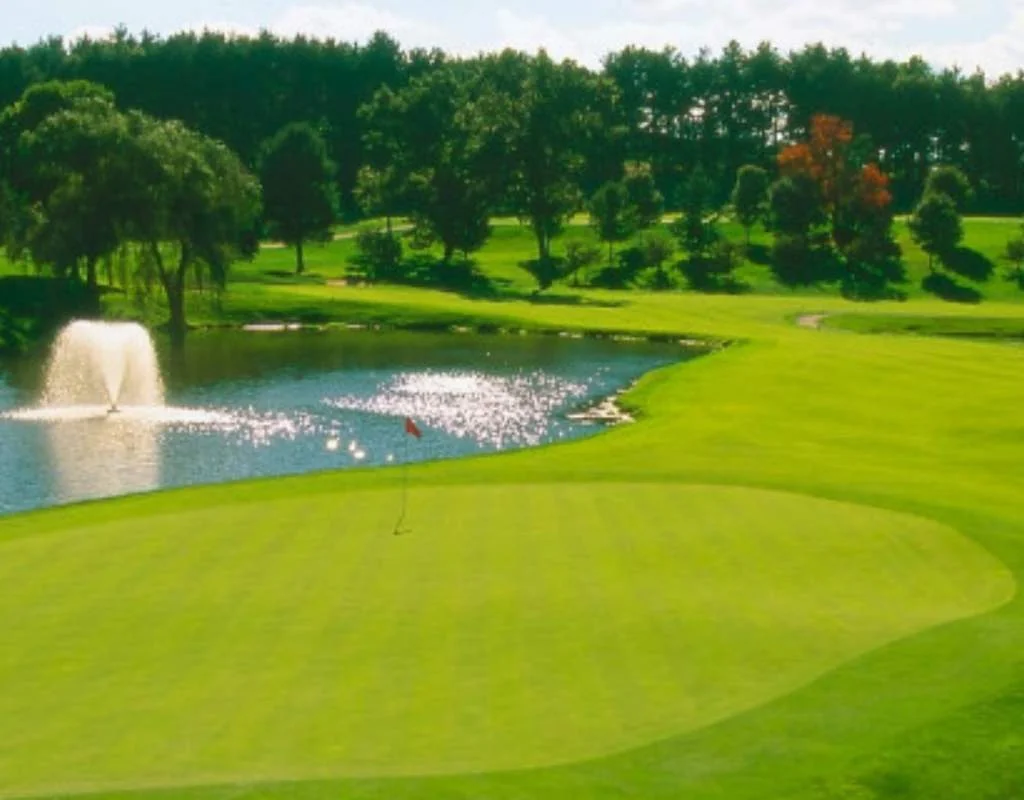 Sân golf The International – Pines Course với thiên nhiên tuyệt vời