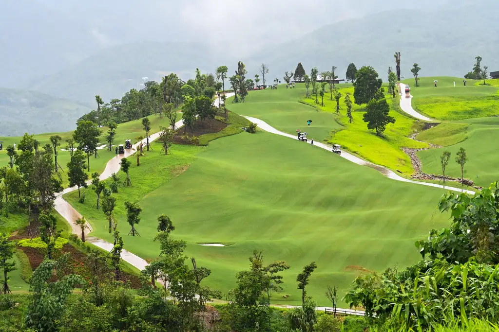 Sân golf Sapa dùng cỏ Paspalum bền màu