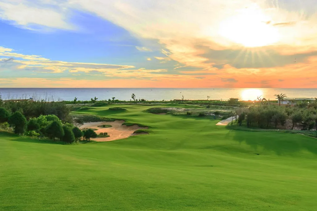 Tập đoàn FLC trồng giống cỏ Platinum Paspalum cao cấp tại sân FLC Quy Nhơn golf