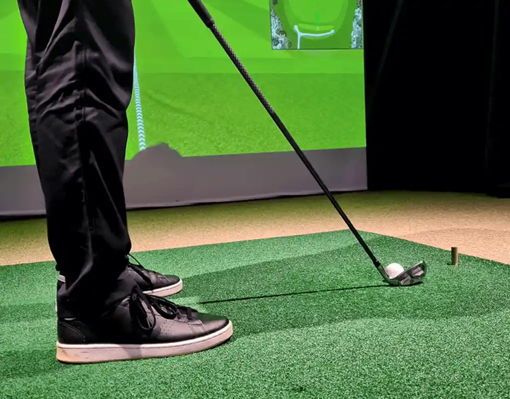 Các thiết bị kinh doanh phòng golf 3D