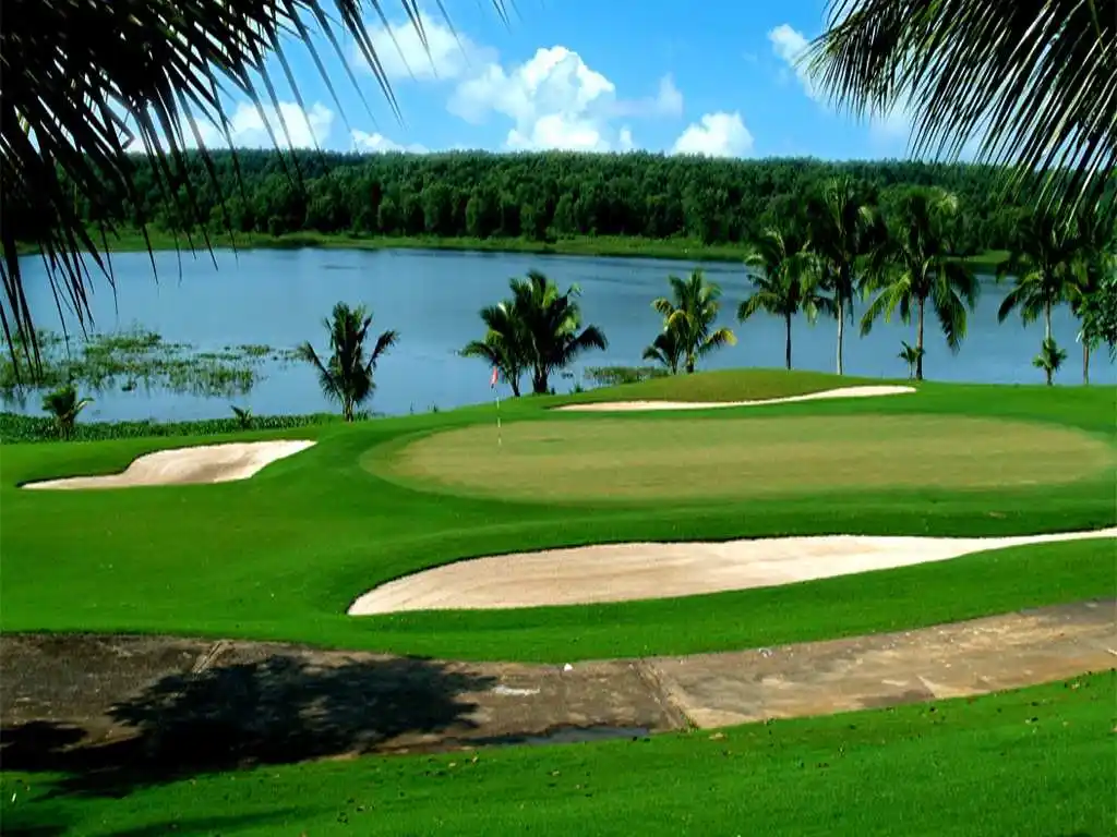 Cỏ xanh được chăm sóc cẩn thận của sân golf Đồng nai